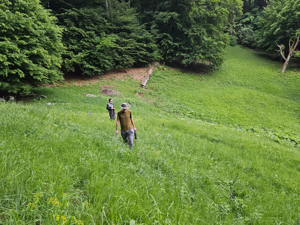 marne hledani na Bilych potocich